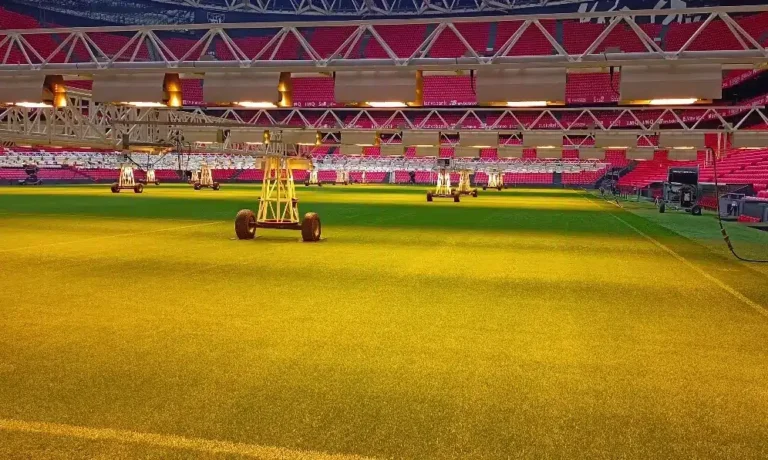 estadio de San Mamés el estado de su césped