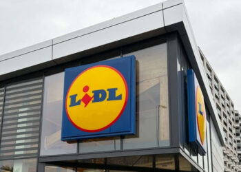 Parkside and Niteo in Lidl and Biedronka. The complete guide