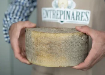 Entrepinares Group faces the future with SAP S/4HANA and Altim